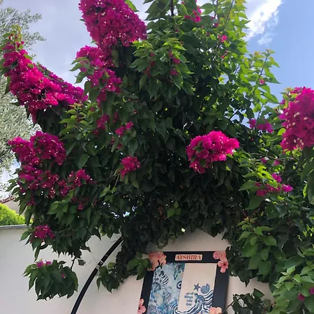 Ayshira Aparts Appartamento