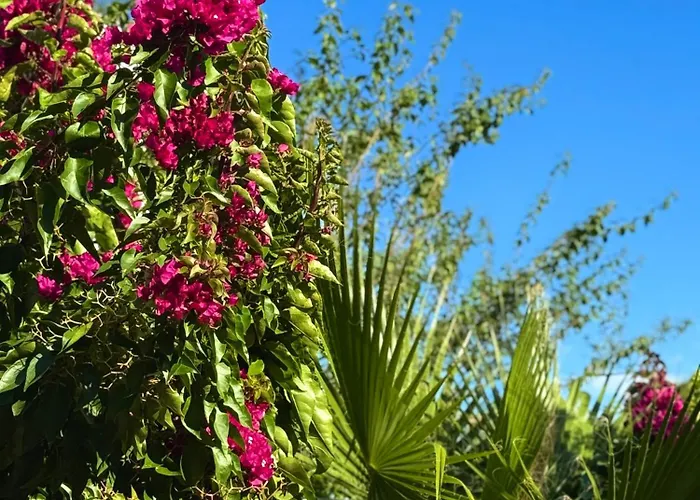 Apartamento Ayshira Aparts-a *