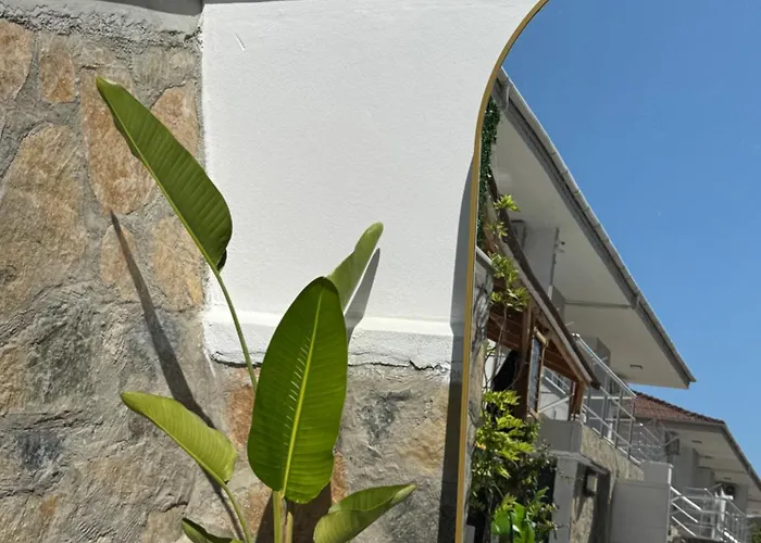 Ayshira Aparts Διαμέρισμα