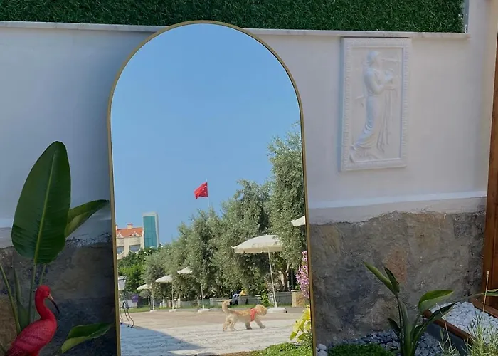 Ayshira Aparts Διαμέρισμα