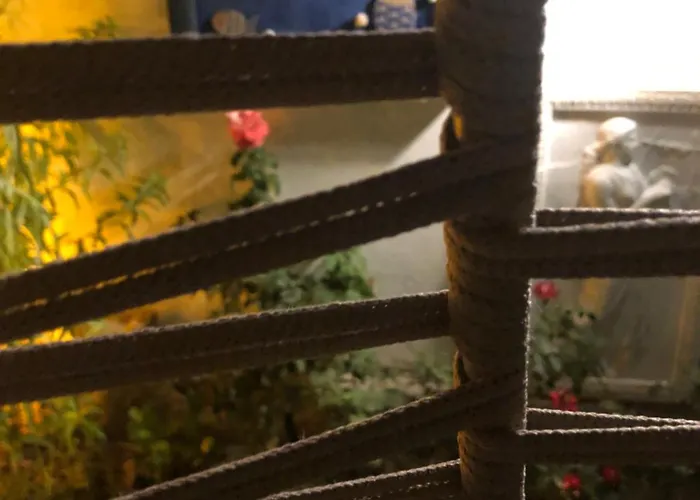 Ayshira Aparts-a * 凯梅尔