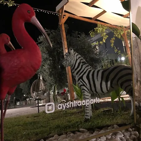 Ayshira Aparts-a Apartamento *